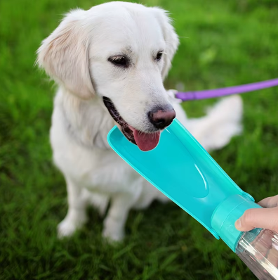 Gourde Portable 2-en-1 pour Chien - Hydratation Nomade Pratique